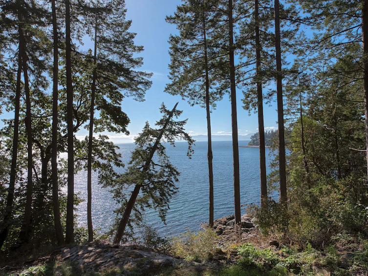 7339 Belle Road, Halfmoon Bay, BC, V7Z 0T3 - 2