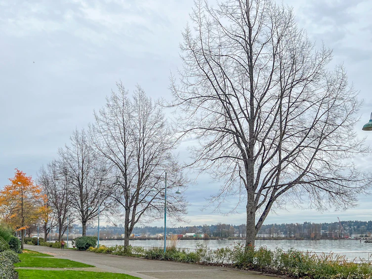 PH2-828 Agnes Street, New Westminster, BC, V3M 6R4 - 27