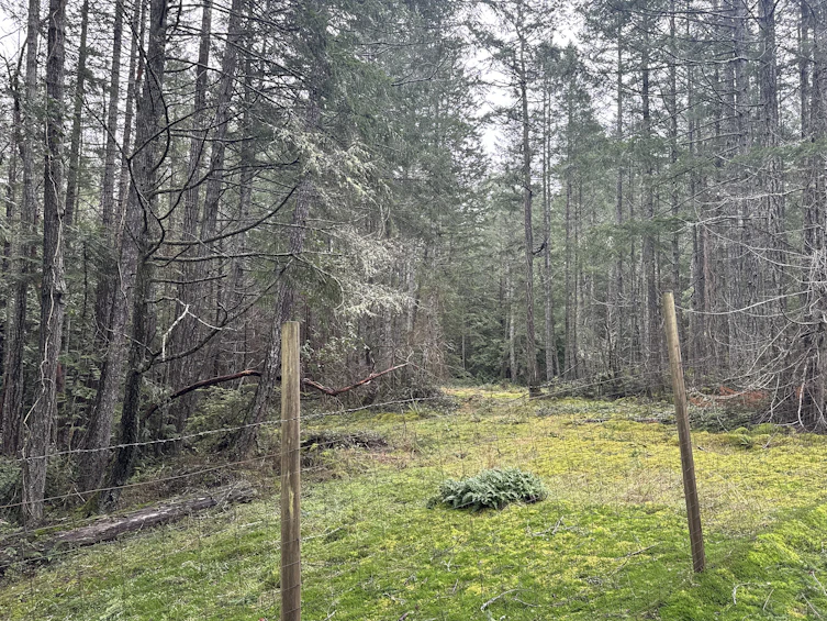 Lot-2600 3 Kevan Drive, Gabriola Island, BC, V0R 1X7 - 5