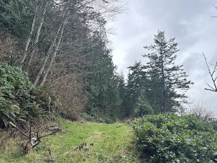Lot-2600 3 Kevan Drive, Gabriola Island, BC, V0R 1X7 - 13
