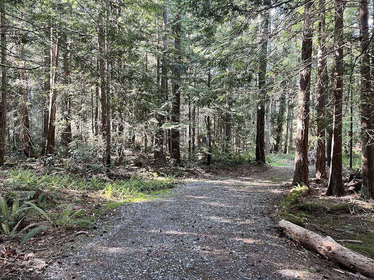 Lot-2600 3 Kevan Drive, Gabriola Island, BC, V0R 1X7 - 6