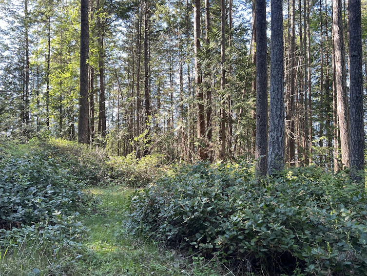 Lot-2600 3 Kevan Drive, Gabriola Island, BC, V0R 1X7 - 2