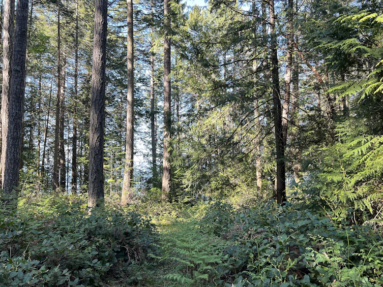 Lot-2600 3 Kevan Drive, Gabriola Island, BC, V0R 1X7 - 18