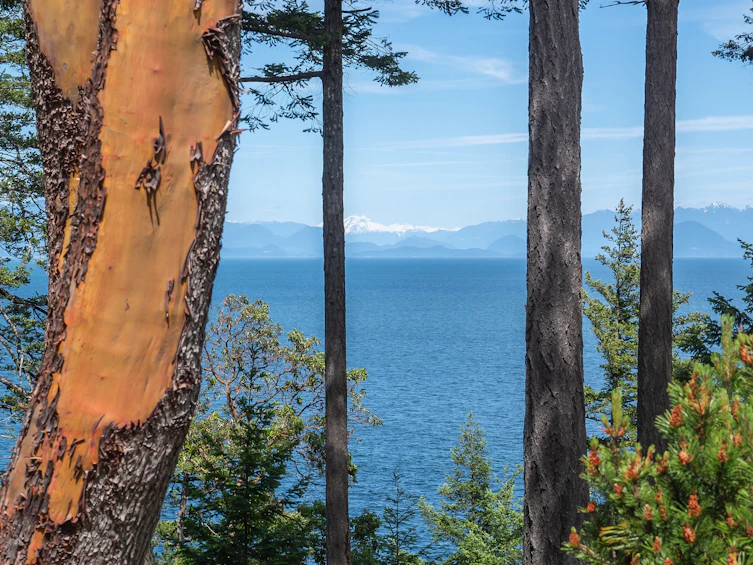 2660 Kevan Drive, Gabriola Island, BC, V0R 1X7 - 8