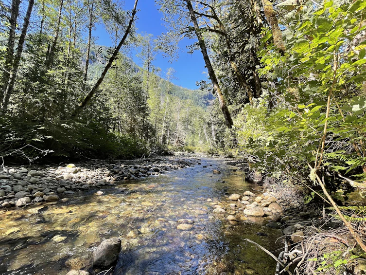 DL Brittain River, Pender Harbour Egmont, BC, V0N 2W0 - 13