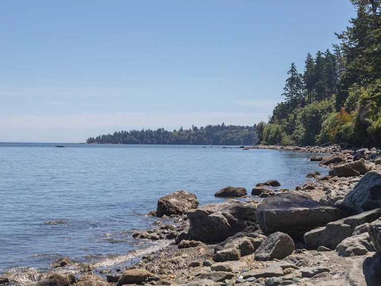 9-4771 Cordova Bay Road, Saanich, BC, V9Y 2J7 - 34