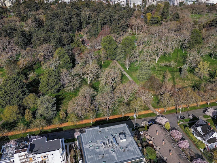 101-986 Heywood Avenue, Victoria, BC, V8V 2Y6 - 32