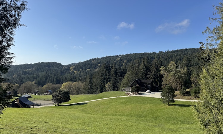 445 Cranberry Road
