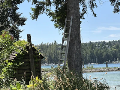 5591 Delta Road - 4