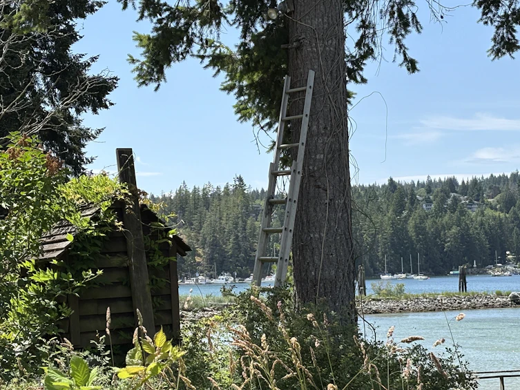 5591 Delta Road, Sechelt, BC, V7Z 0G1 - 4