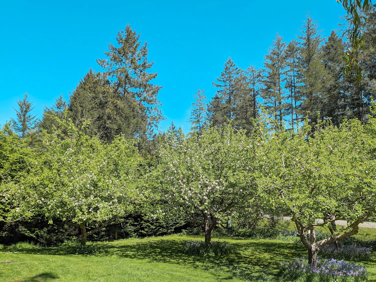 585 Wildwood Crescent, Gabriola Island, BC, V0R 1X4 - 31