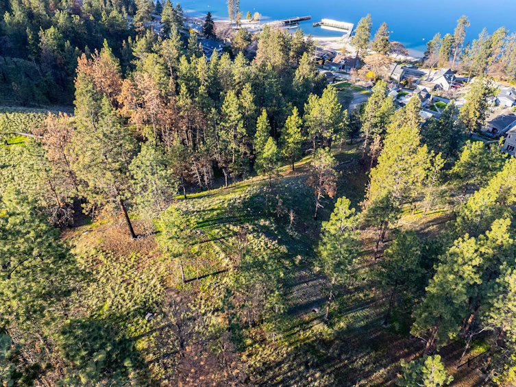 10989 Maddock Avenue, Lake Country, BC, V4V 2J5 - 69