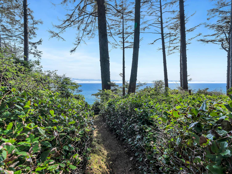 2734 Seaside Drive, Sooke, BC, V9Z 1G7 - 45
