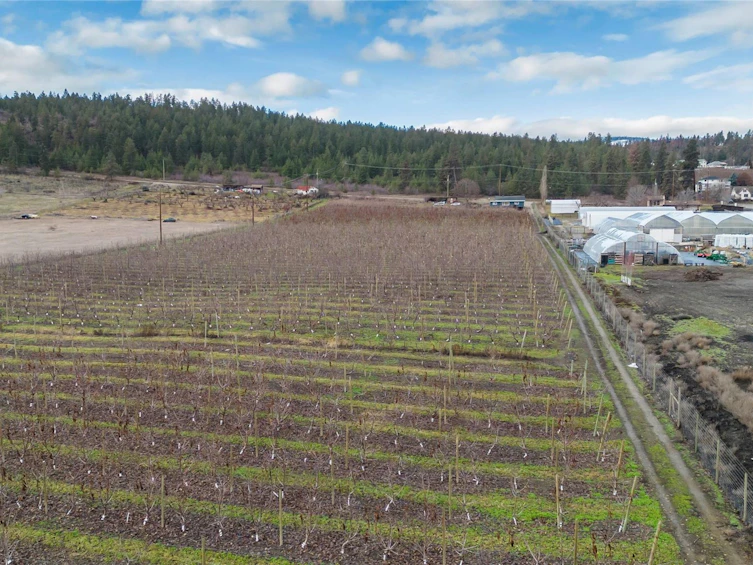 4295 Shanks Road, Kelowna, BC, V4V 1M3 - 7
