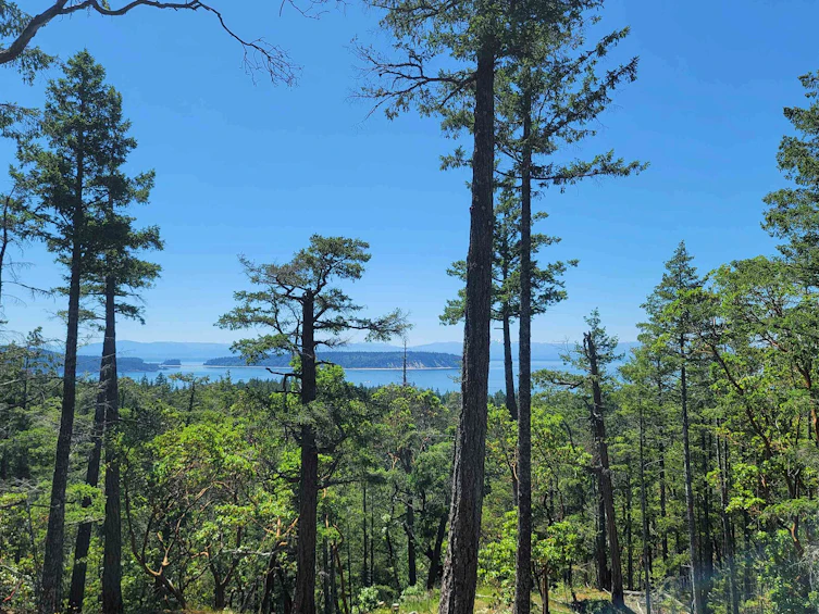 Lot-40 Wood Bay Ridge Road, Pender Harbour Egmont, BC, V0N 1Y2