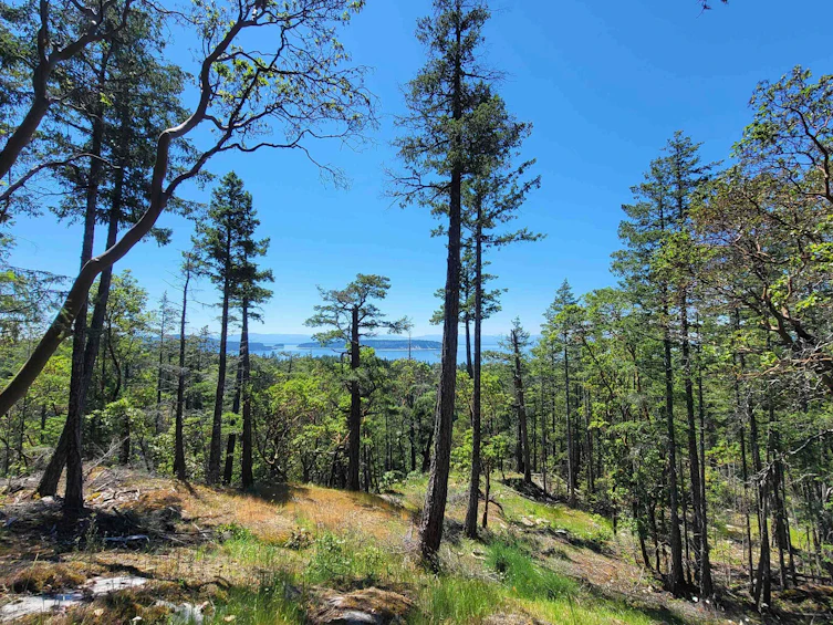 Lot-36 Wood Bay Ridge Road, Pender Harbour Egmont, BC, V0N 1Y2 - 2