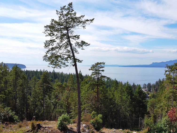 Lot-33 Wood Bay Ridge Road, Pender Harbour Egmont, BC, V0N 1Y2