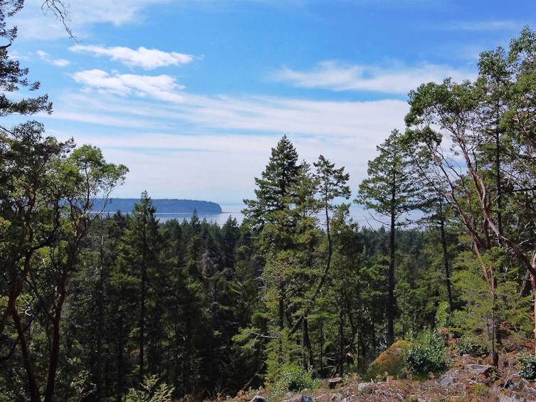 Lot-39 Wood Bay Ridge Road, Pender Harbour Egmont, BC, V0N 1Y2 - 4