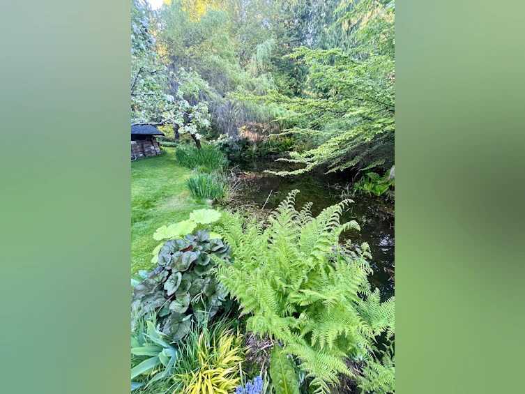 1531 Lockyer Road, Roberts Creek, BC, V0N 2W1 - 11