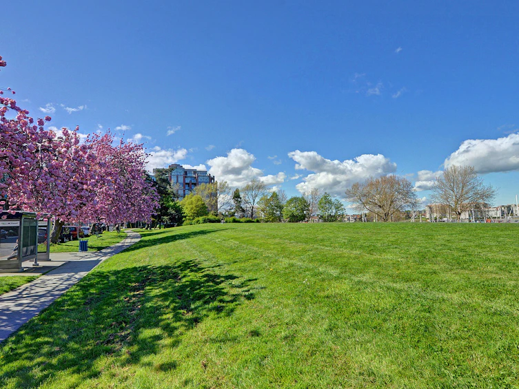 PH4-21 Erie Street, Victoria, BC, V8V 5A8 - 37