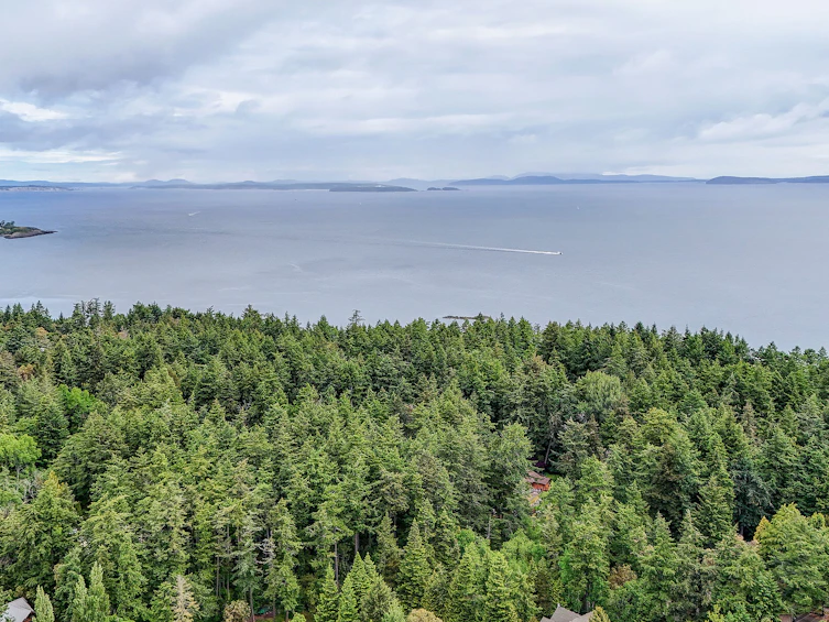 3949 Scolton Lane, Saanich, BC, V8N 6J6 - 39