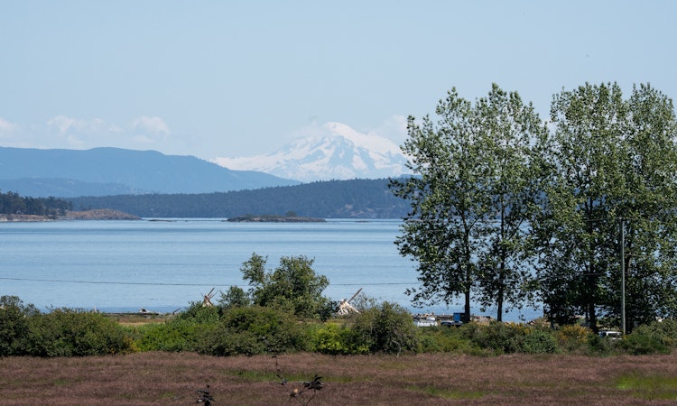 7003 Beach View Court