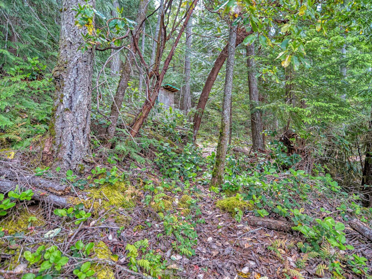 6761 Sandy Hook Trail, Sechelt, BC, V7Z 0C9 - 25