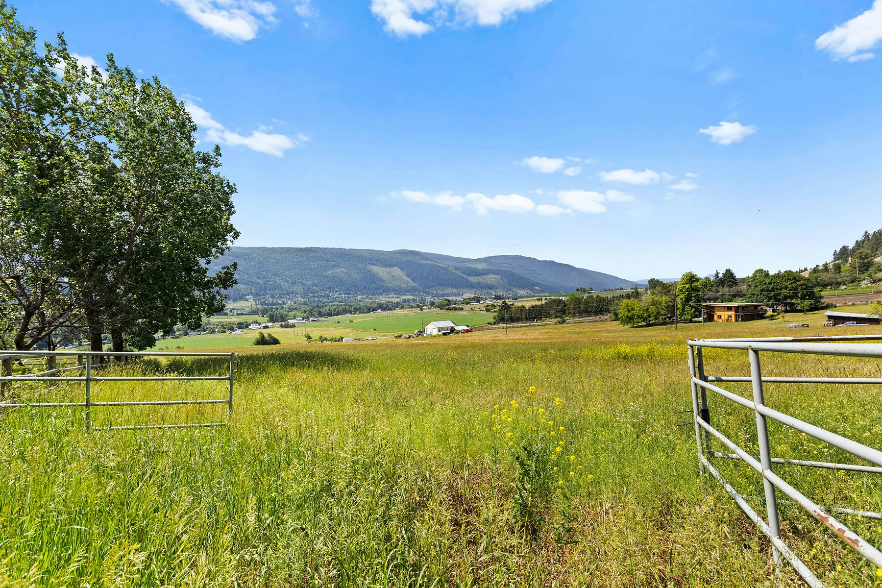 6651 Buchanan Road, Coldstream, BC, V1B 3C6 - 57