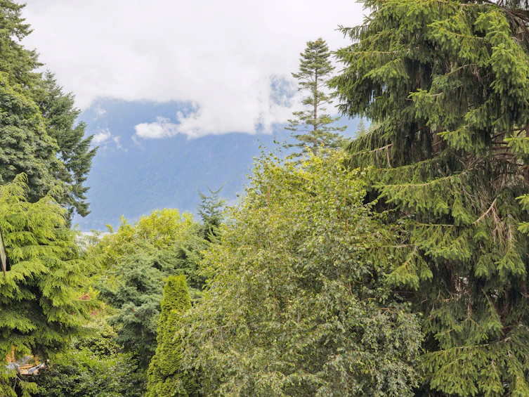 6820 Hycroft Road, West Vancouver, BC, V7W 2K8 - 43