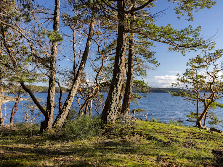 Lot-A B Turnagain Island, Halfmoon Bay, BC, V7Z 1B7 - 9