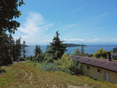 Lot-2 Lilac Street - 5