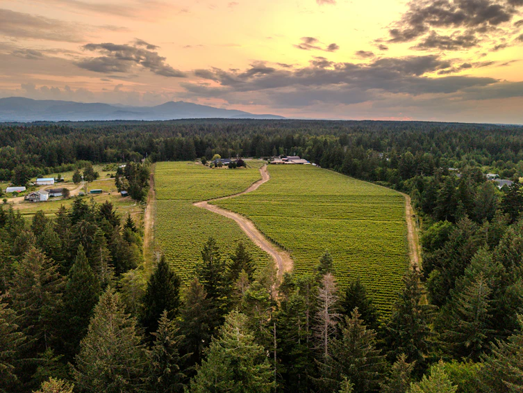 2400 Anderton Road, Courtenay, BC, V9M 8E5 - 8