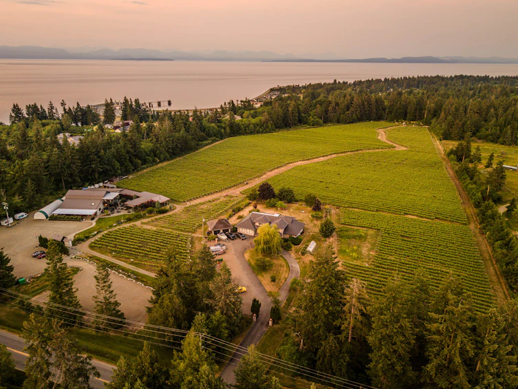 2400 Anderton Road, Courtenay, BC, V9M 8E5 - 13