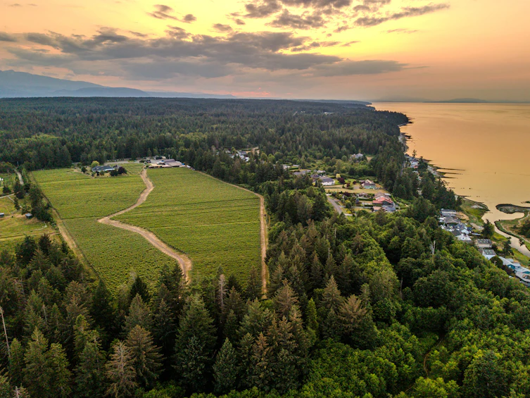 2400 Anderton Road, Courtenay, BC, V9M 8E5 - 7