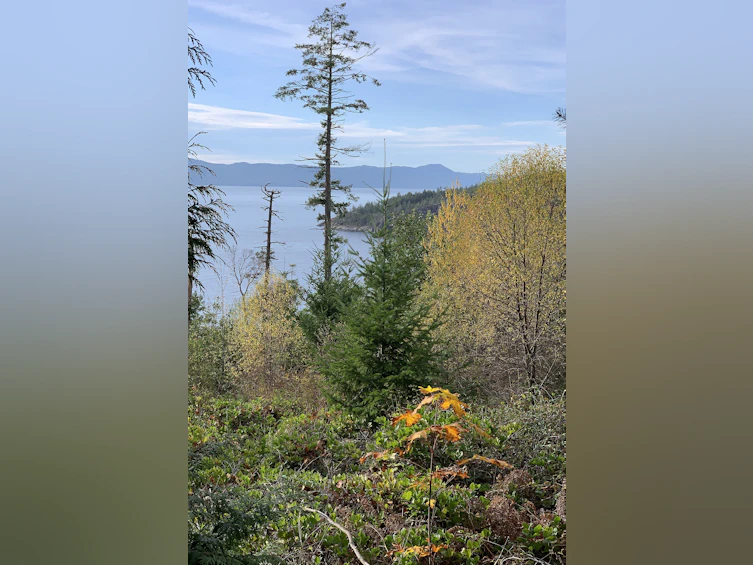 Lot-23 Sakinaw Drive, Pender Harbour Egmont, BC, V0N 1S1 - 7