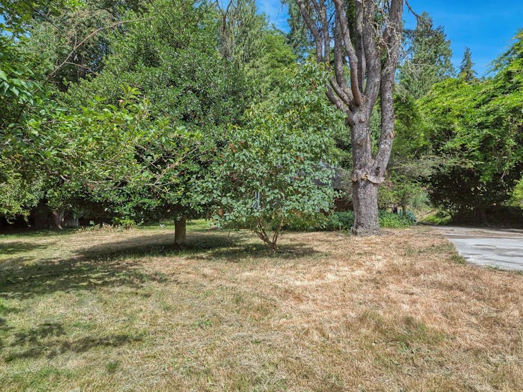 8200 Redrooffs Road, Halfmoon Bay, BC, V7Z 1E2 - 19