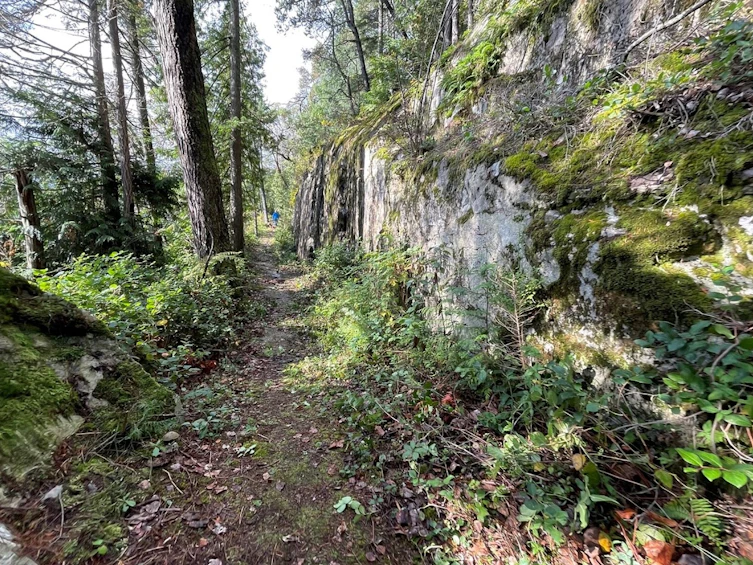 165 Witherby Road, Gibsons, BC, V0N 1V6 - 11