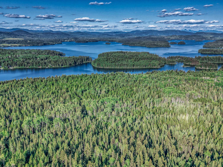 DL-4274 Bell Road, Bridge Lake, BC, V0K 1X2 - 5