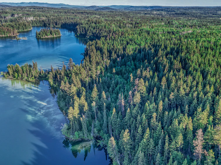 DL-4274 Bell Road, Bridge Lake, BC, V0K 1X2 - 3