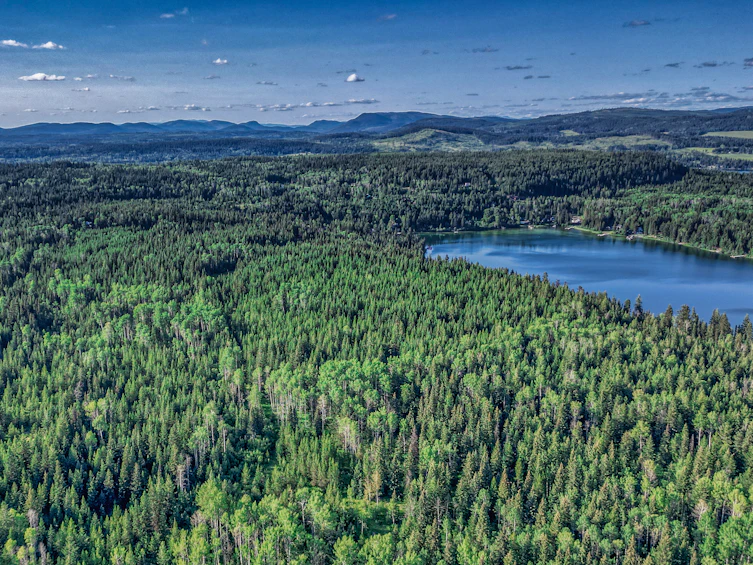 DL-4274 Bell Road, Bridge Lake, BC, V0K 1X2 - 20
