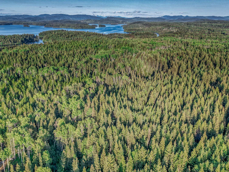 DL-4274 Bell Road, Bridge Lake, BC, V0K 1X2 - 24