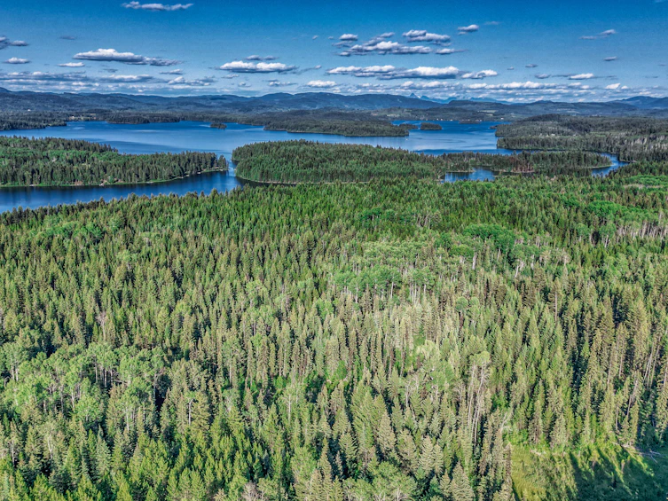 DL-4274 Bell Road, Bridge Lake, BC, V0K 1X2 - 8