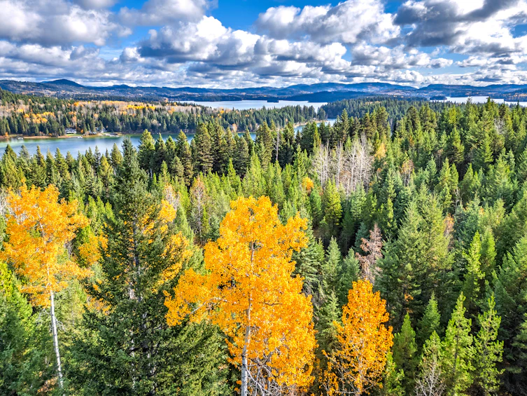DL-4274 Bell Road, Bridge Lake, BC, V0K 1X2 - 29