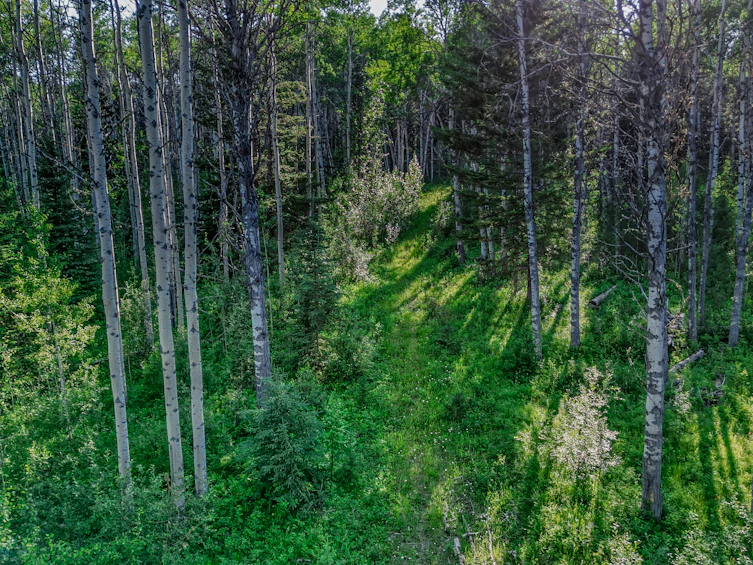 DL-4274 Bell Road, Bridge Lake, BC, V0K 1X2 - 10