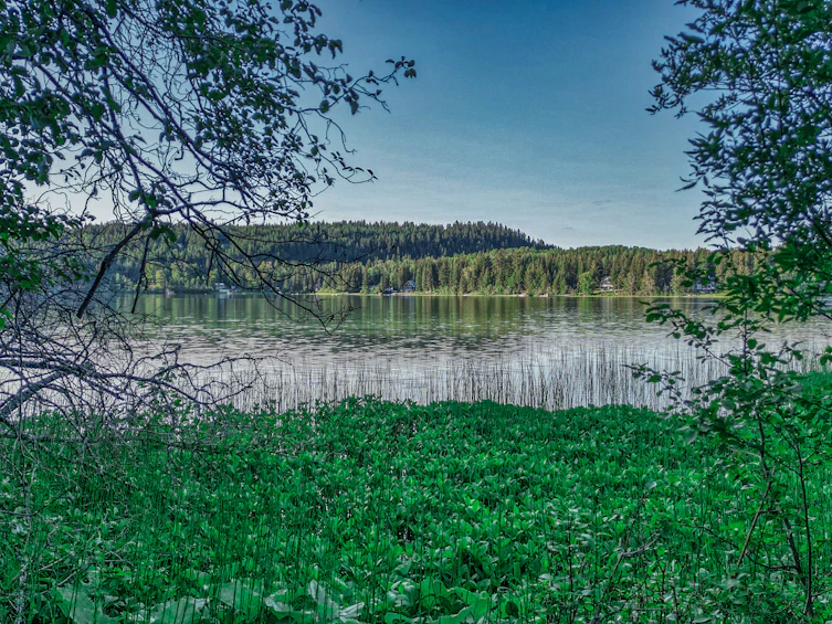 DL-4274 Bell Road, Bridge Lake, BC, V0K 1X2 - 11