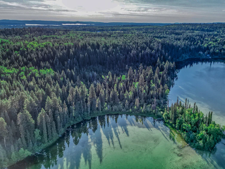 DL-4274 Bell Road, Bridge Lake, BC, V0K 1X2 - 9