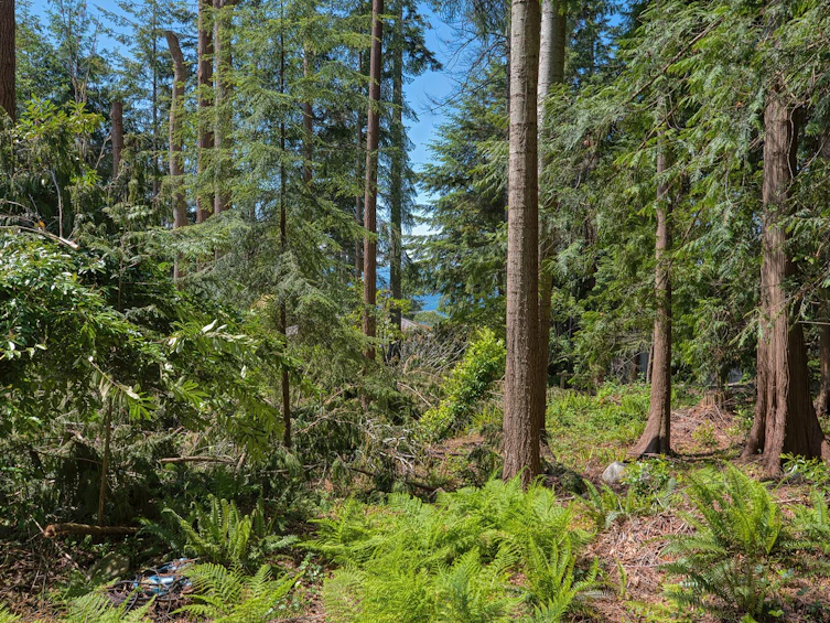 4873 Laurel Avenue, Sechelt, BC, V7Z 0B5 - 36