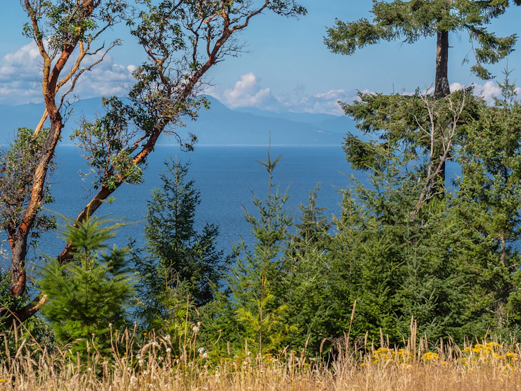573 Horseshoe Road, Gabriola Island, BC, V0R 1X3 - 39