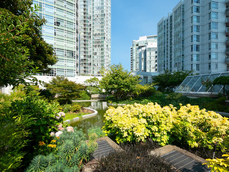 1703-198 Aquarius Mews, Vancouver, BC, V6Z 2Y4 - 38