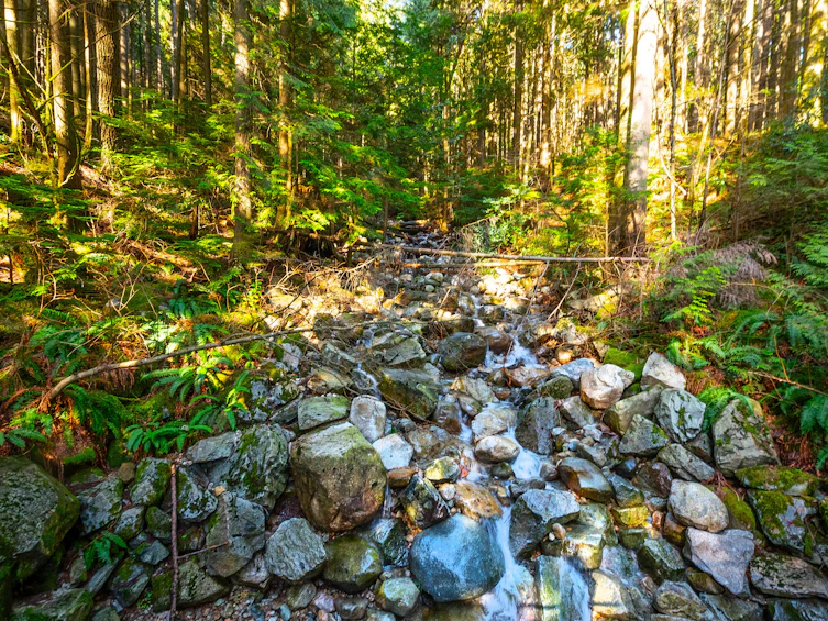 1015 Lynn Valley 6 Road, North Vancouver, BC, V7J 1Z6 - 45